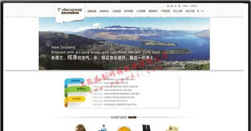 閔行企業網站建設 選擇專業設計，賦能上海企業發展